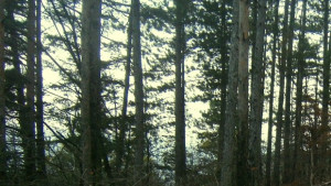 Слънчево и тихо време днес