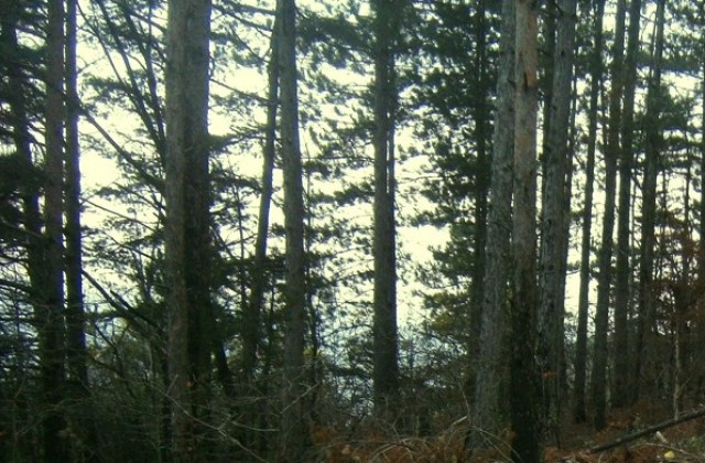 Слънчево и тихо време днес