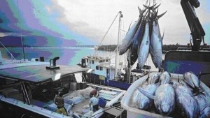 Шаранът за Никулден до 650 лв за килограм