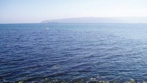 Откриват подводна художествена галерия на морското дъно край Приморско