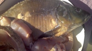 Рибникът шаран в тесто се счита за традиционното ястие днес