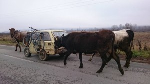 Снимка Иновация Българско превозно средство от Гирчевци
