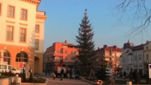 Палят елхата в Сливен