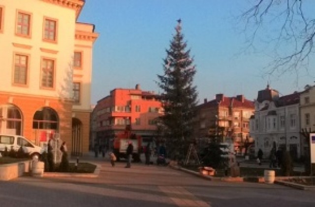 Палят елхата в Сливен