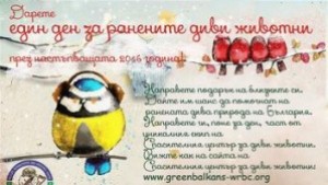 Един ден за ранените диви животниКоледна кампания на Спасителния център