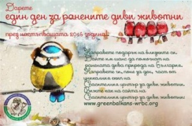Един ден за ранените диви животни-Коледна кампания на Спасителния център
