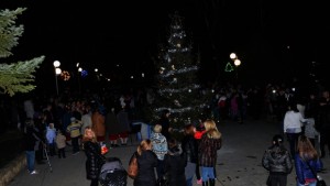 Светлините на коледната елха грейнаха и във Вълчи дол