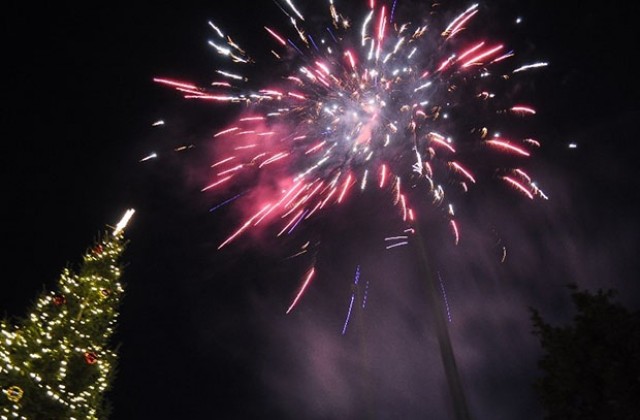 Коледната елха на площад „Бдинци грейна