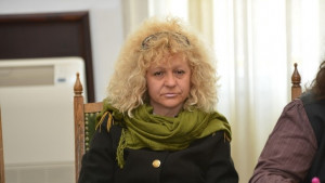 Предприемат мерки по опазването на Стария бряст