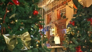 Днес запалват светлините на Коледната елха в Левски