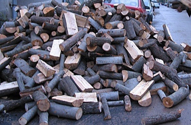 Откриха бракониерски дърва в Маломирово