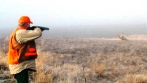 Откриха труп на благороден елен край село Сини вир