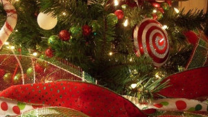 Коледна елха грейва във Владиславово