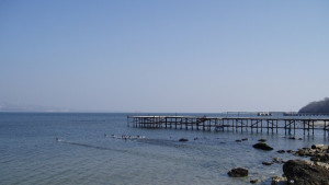 Допълват мрежата от защитени зони в Черно море с 117