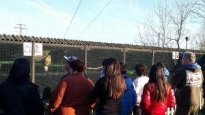 Младежите от ГЕРБ Стара Загора отново реализираха кампанията Заедно не