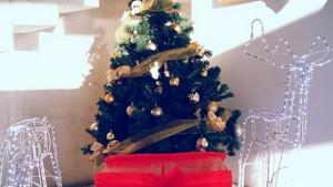 Кметът на Дупница ще е Дядо Коледа за едно дете