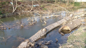 Спешно почистват опасен канал в Бяла черква