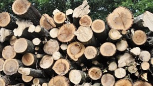 Одобрените за помощи за отопление с 13 помалко от миналата