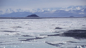Въздухът в Арктика счупи температурен рекорд