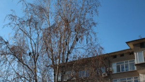 Започва да нахлува студен въздух