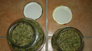 Англичанин съхранявал марихуана в буркани и кутии в избата си