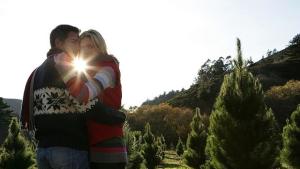 С наближаването на Коледа температурите тръгват нагоре