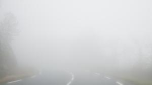 Времето на 21 декември Предимно мъгливо