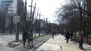 Продължава оформянето дървета в Южен
