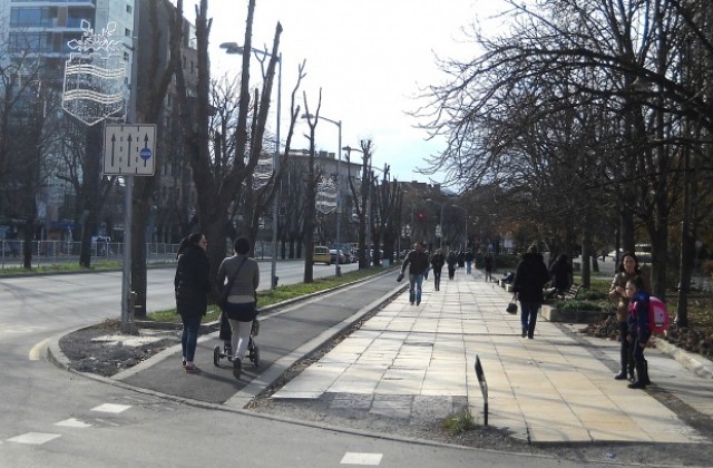 Продължава оформянето дървета в „Южен“