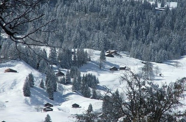 Астрономическата зима настъпва в 6.48 ч. във вторник