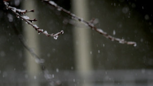 Посрещаме астрономическата зима с температури над нулата