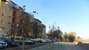 Засадиха над 300 дървета край новите велоалеи в Пловдив