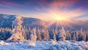 Зимата дойде