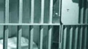 Съдът Решетки за муле и наркотрафикант