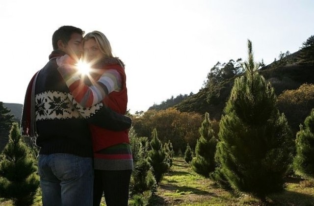 Времето на 24 декември: Ясно и слънчево