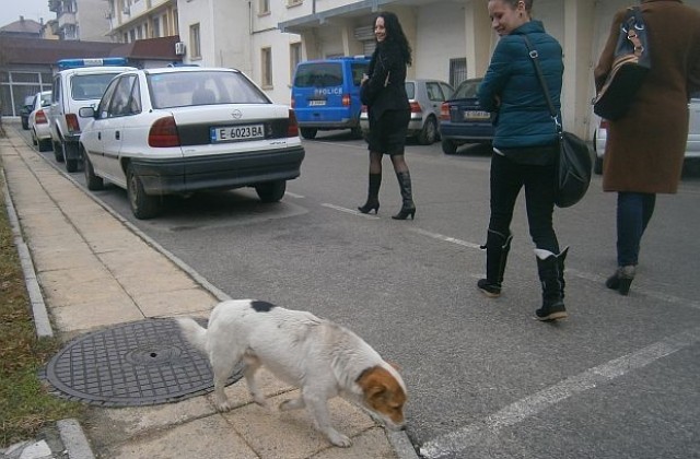 МВР: Не казвайте къде сте за празниците