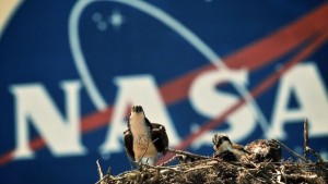 НАСА показа снимкa на астероида който ще прелети покрай Земята