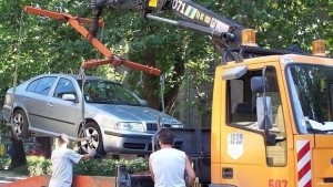 Паяците няма да почиват и на празниците
