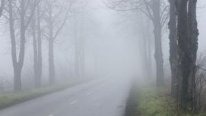 Времето на 26 декември Мъглите продължават