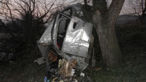 Младеж загина друг е тежко ранен след удар в дърво