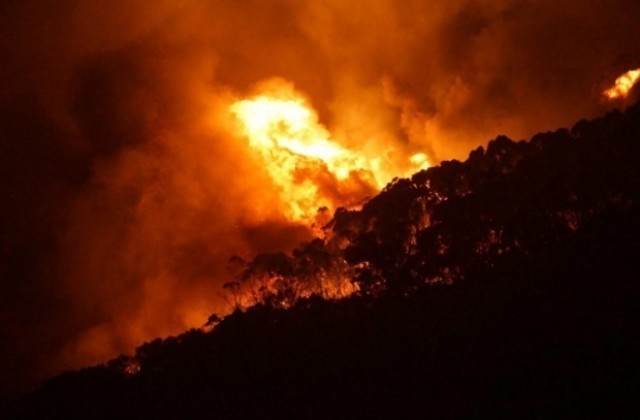 Спасиха от пожар над 1000 декара гора