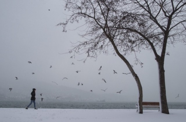 Снежен ад в Истанбул, отмениха стотици полети