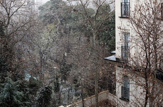 Снежна буря връхлетя Ливан