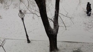 От Зауба чистят и опесъчават