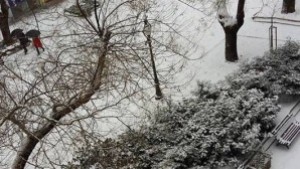 Проходими са общинските пътища