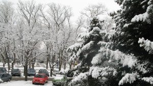 Над 30 машини обработват улиците във Варна