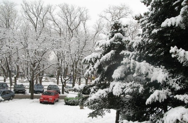 Над 30 машини обработват улиците във Варна