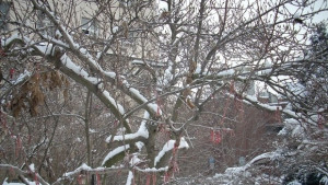 Раздаваха топли напитки и храна на закъсали по пътищата