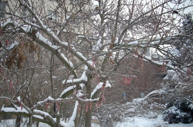 Раздаваха топли напитки и храна на закъсали по пътищата