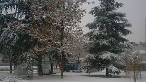 Жълт код за сняг и поледици